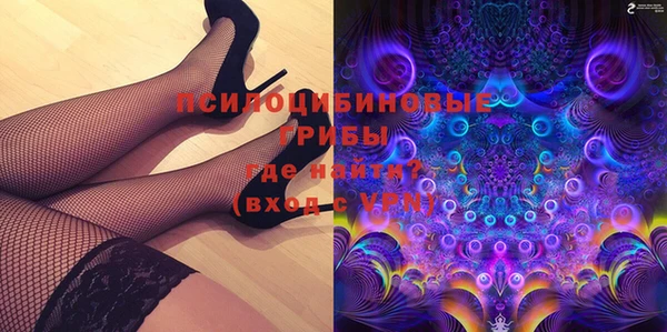МДПВ Алзамай