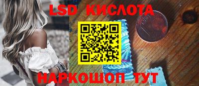 спайс Кандалакша