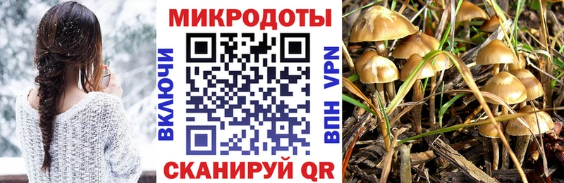 Псилоцибиновые грибы GOLDEN TEACHER  Красногорск 
