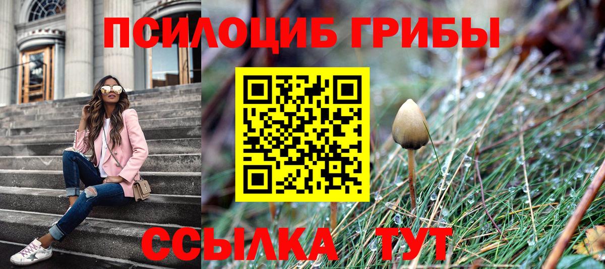 Галлюциногенные грибы Cubensis  Вход с VPN  Красногорск  продажа наркотиков  Галлюциногенные грибы Psilocybine cubensis 
